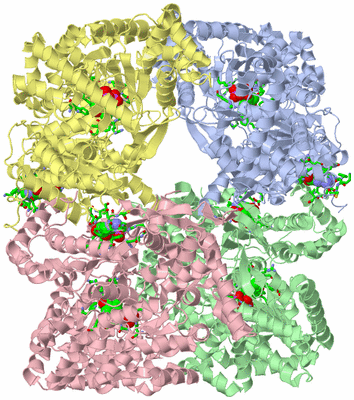 Image Asym./Biol. Unit - sites