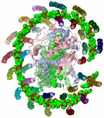 Image Asym./Biol. Unit - sites