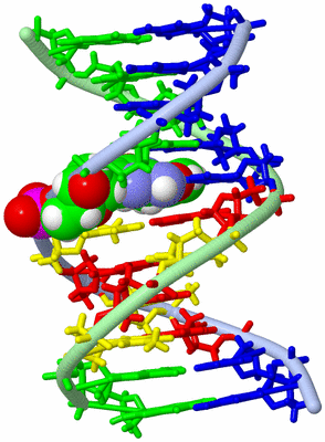 Image NMR Structure - model 1