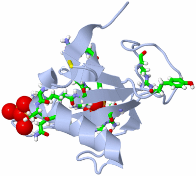 Image Biol. Unit 1 - sites