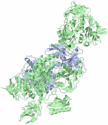 Image Biological Unit 1