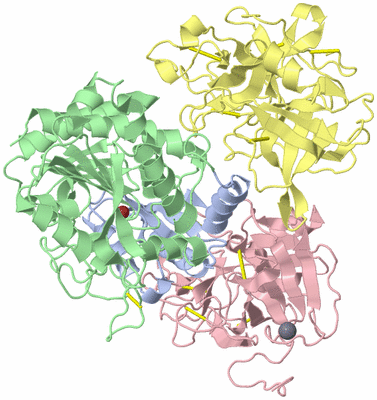 Image Asym./Biol. Unit