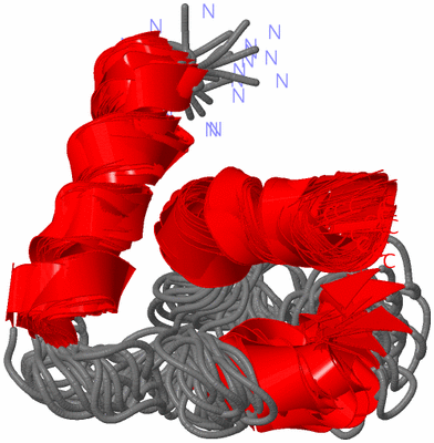 Image NMR Structure - all models