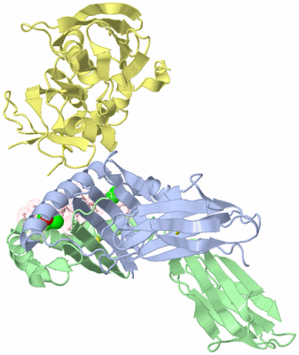 Image Asym./Biol. Unit