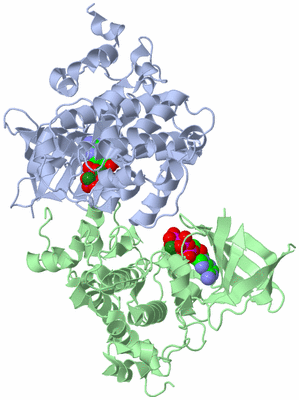 Image Asym./Biol. Unit