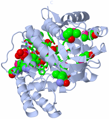 Image Biol. Unit 1 - sites