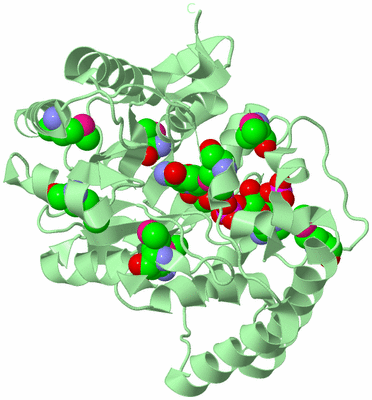 Image Biological Unit 2