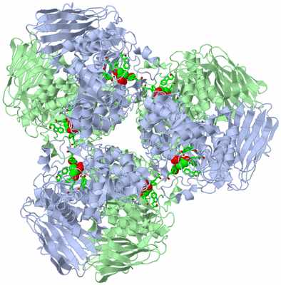 Image Biol. Unit 1 - sites