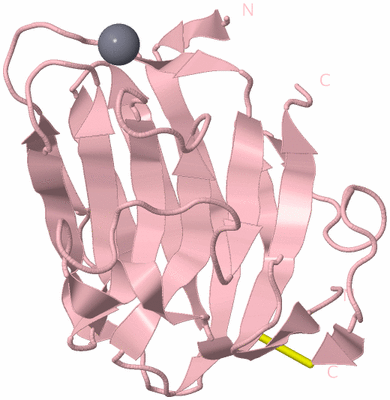 Image Biological Unit 3