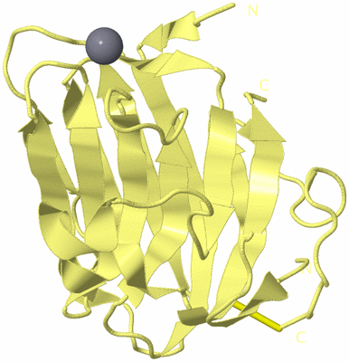 Image Biological Unit 4