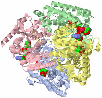 Image Asym./Biol. Unit