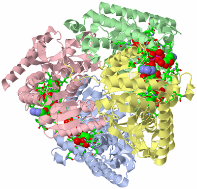 Image Asym./Biol. Unit - sites