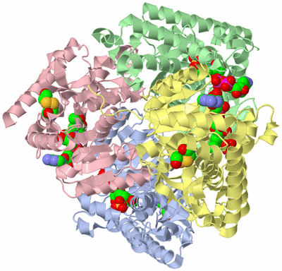 Image Asym./Biol. Unit