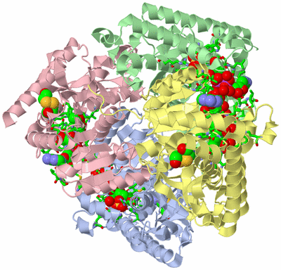 Image Asym./Biol. Unit - sites