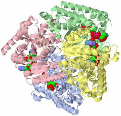 Image Asym./Biol. Unit