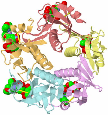 Image Asym./Biol. Unit