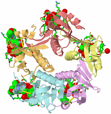 Image Asym./Biol. Unit - sites