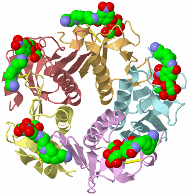 Image Asym./Biol. Unit