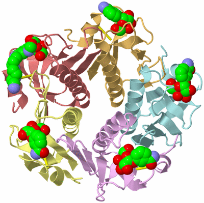 Image Asym./Biol. Unit