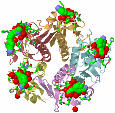 Image Asym./Biol. Unit - sites