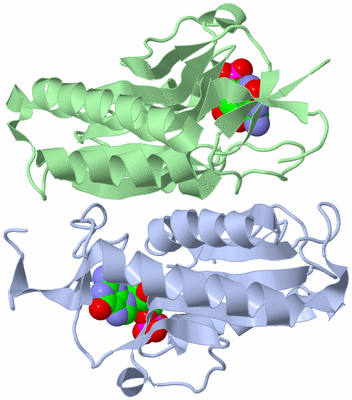 Image Asym./Biol. Unit