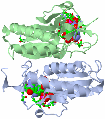 Image Asym./Biol. Unit - sites