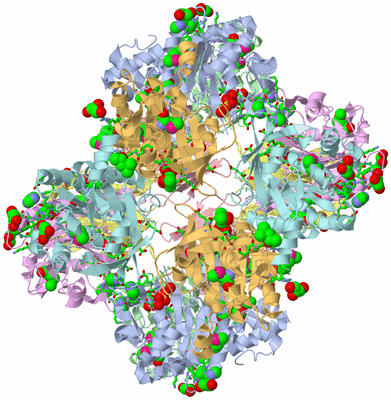 Image Biol. Unit 1 - sites