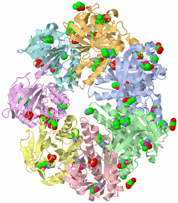 Image Biological Unit 2