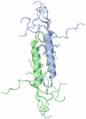 Image NMR Structure - all models