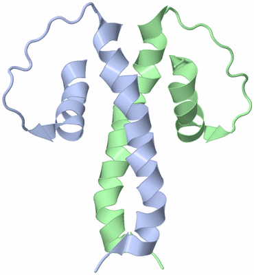 Image NMR Structure - model 1