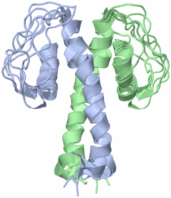 Image NMR Structure - all models