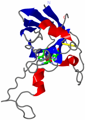 Image Asym. Unit - sites