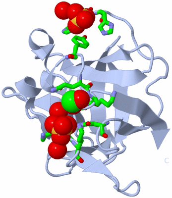 Image Biol. Unit 1 - sites