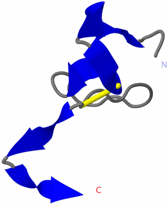 Image NMR Structure - model 1