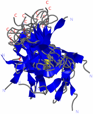 Image NMR Structure - all models