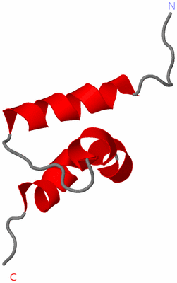 Image NMR Structure - model 1