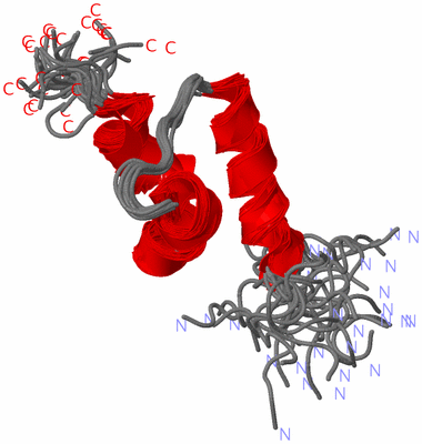 Image NMR Structure - all models