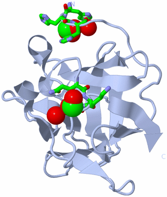 Image Biol. Unit 1 - sites