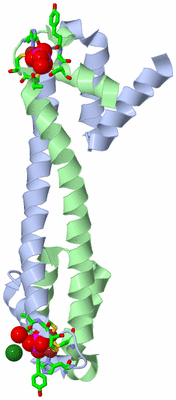 Image Asym./Biol. Unit - sites