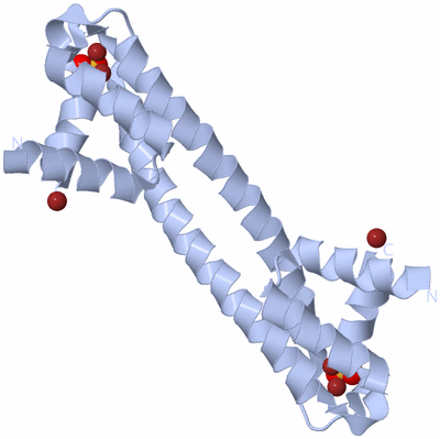 Image Biological Unit 3