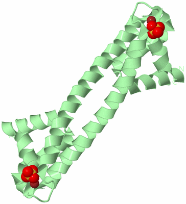 Image Biological Unit 4