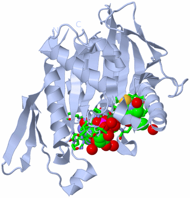 Image Biol. Unit 1 - sites