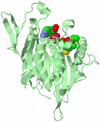 Image Biological Unit 2