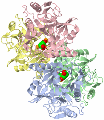 Image Asym./Biol. Unit