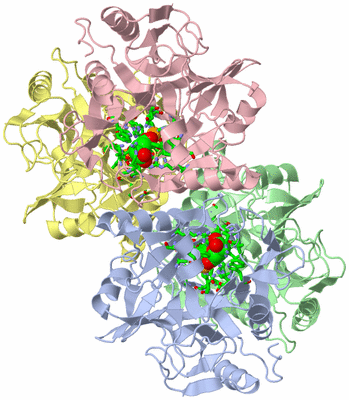 Image Asym./Biol. Unit - sites