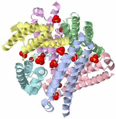 Image Biological Unit 1