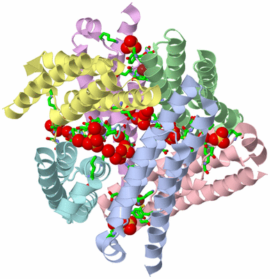 Image Biol. Unit 1 - sites