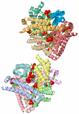 Image Asym. Unit - sites