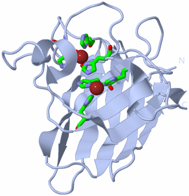 Image Biol. Unit 1 - sites