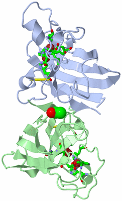 Image Asym. Unit - sites